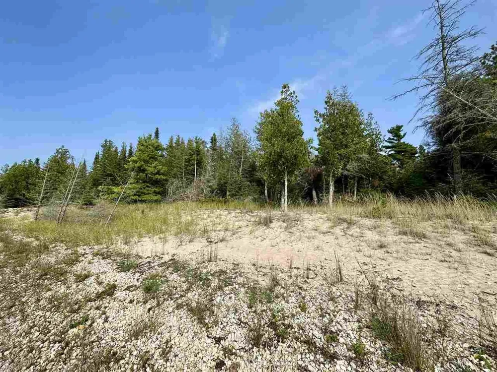 Western Peaine Township, MI 49782