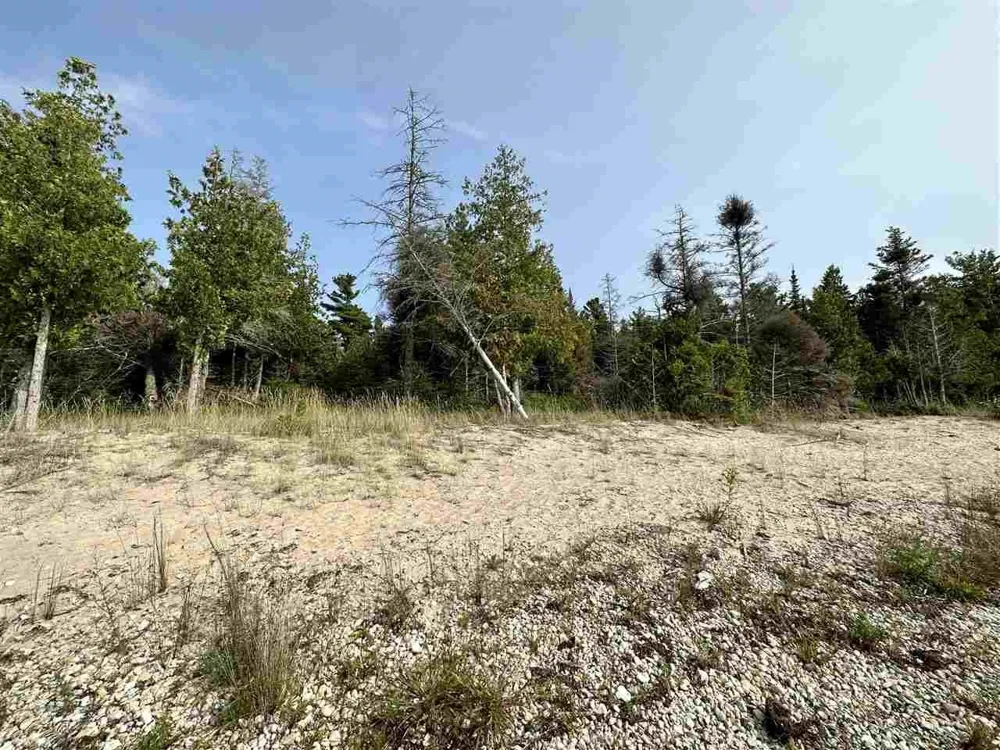 Western Peaine Township, MI 49782