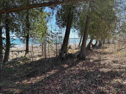 Beaver Island Road