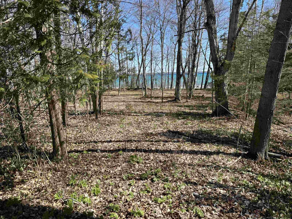 Beaver Island Road St James Township, MI 49782