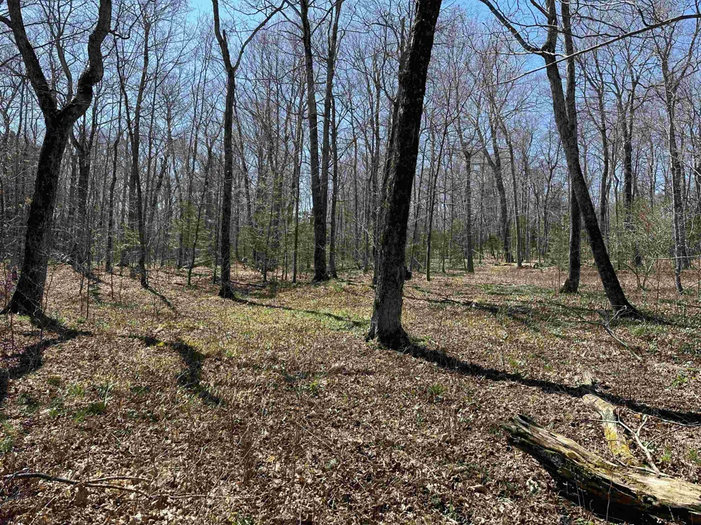 Beaver Island Road St James Township, MI 49782