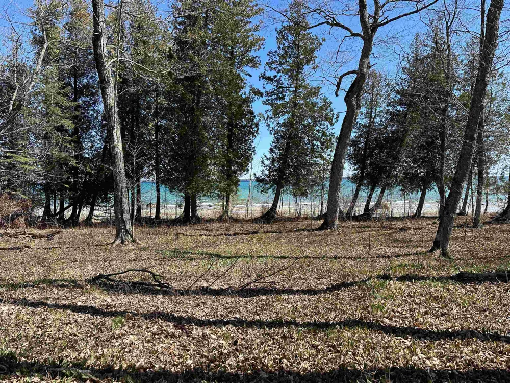 Beaver Island Road St James Township, MI 49782