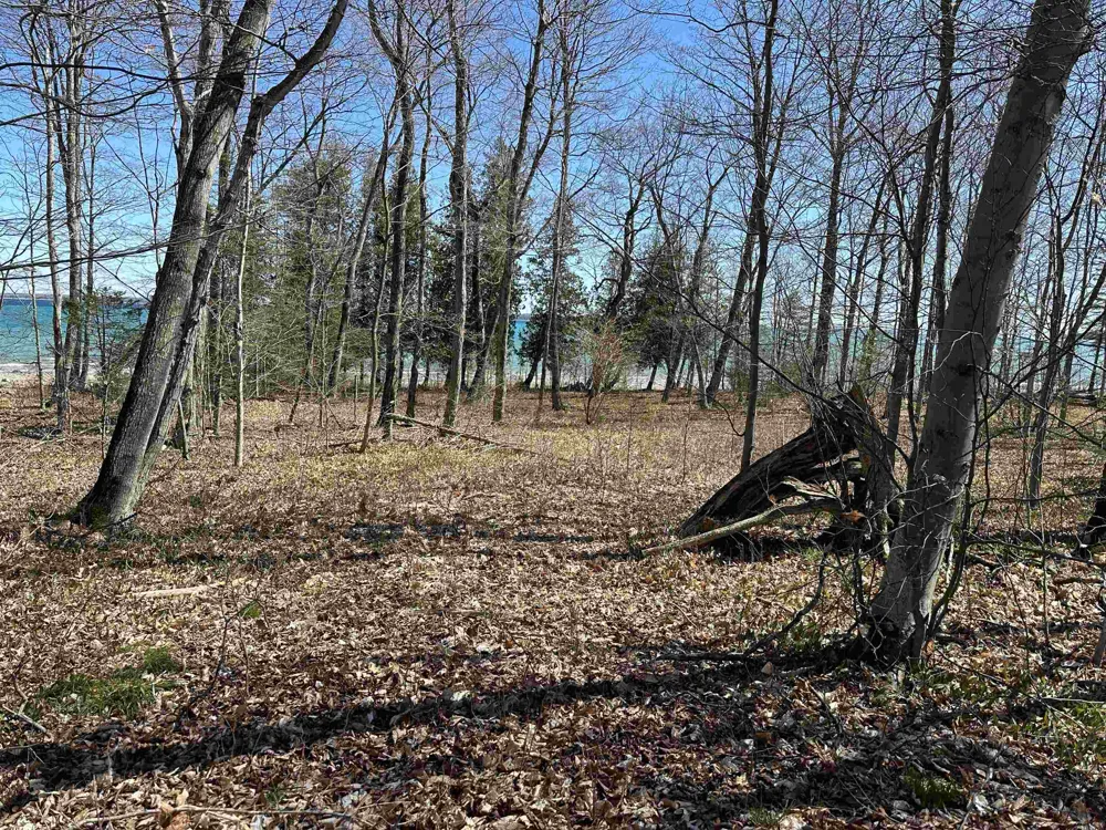 Beaver Island Road St James Township, MI 49782