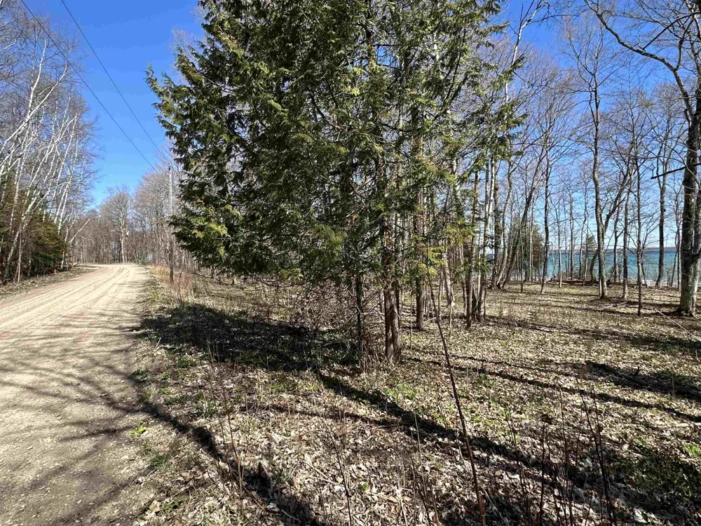Beaver Island Road St James Township, MI 49782