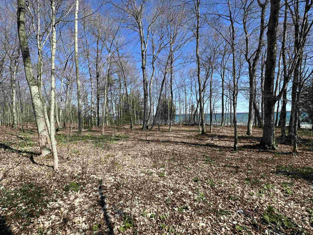 Beaver Island Road St James Township, MI 49782