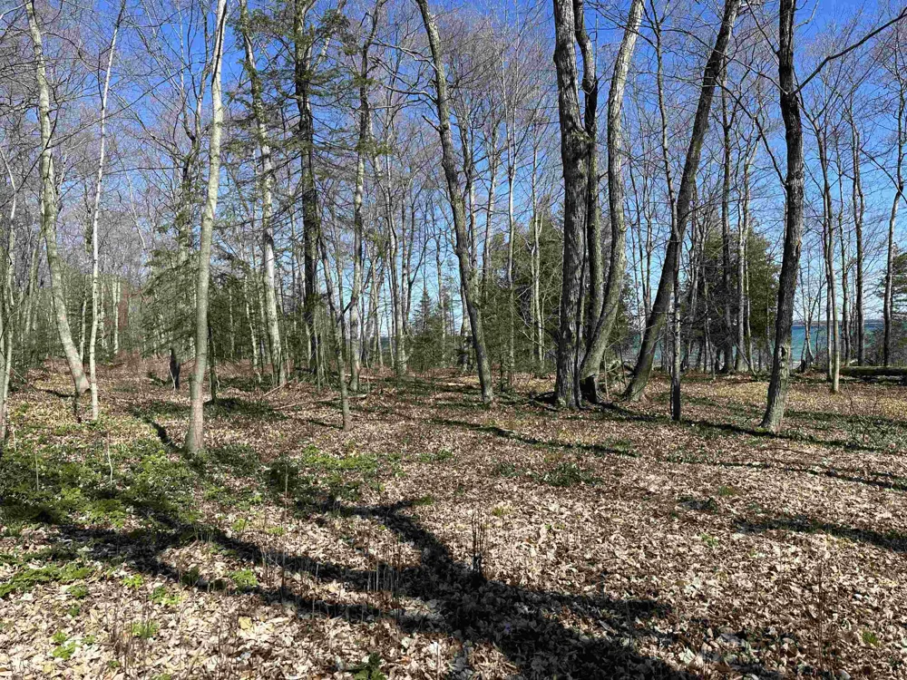 Beaver Island Road St James Township, MI 49782