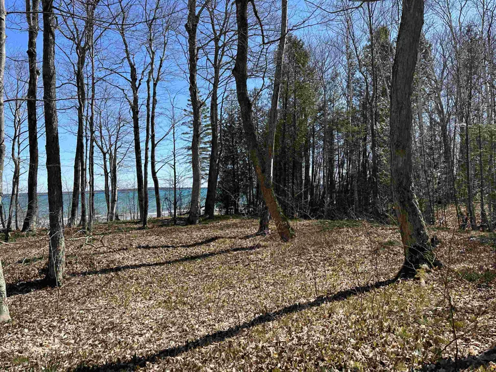 Beaver Island Road St James Township, MI 49782