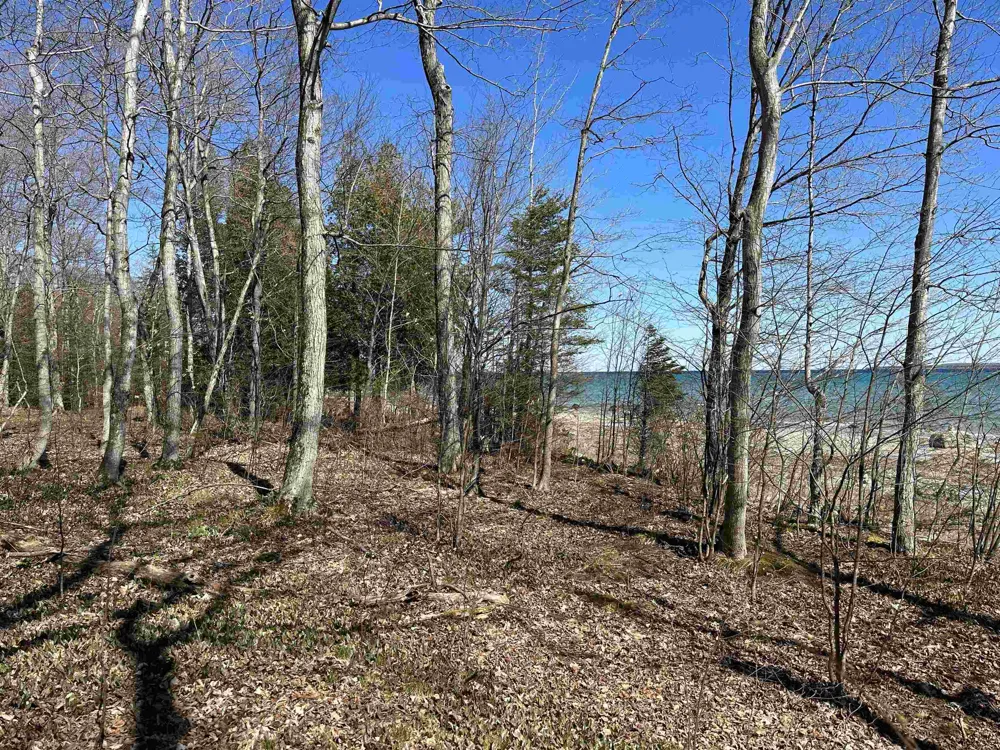 Beaver Island Road St James Township, MI 49782