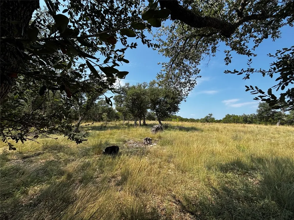 280 Kellog Fischer, TX 78623