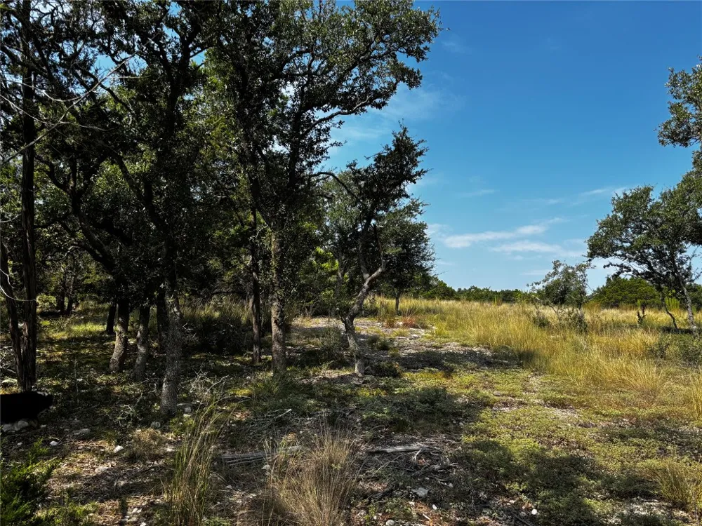 280 Kellog Fischer, TX 78623