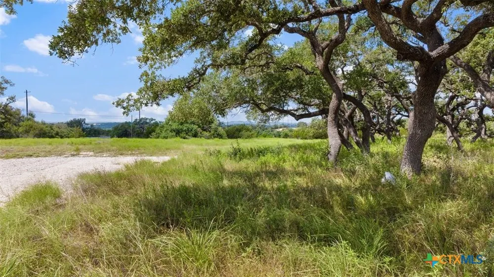 1 Legacy Hills Drive Johnson City, TX 78636