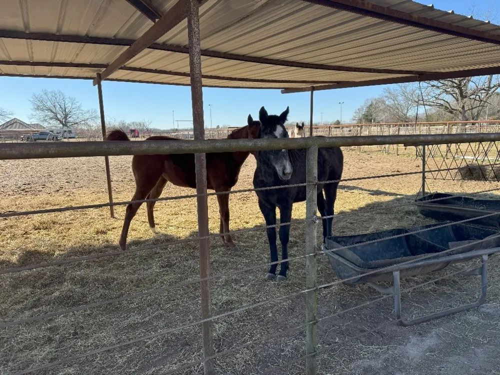 302 VZ County Road 4910 Ben Wheeler, TX 75754