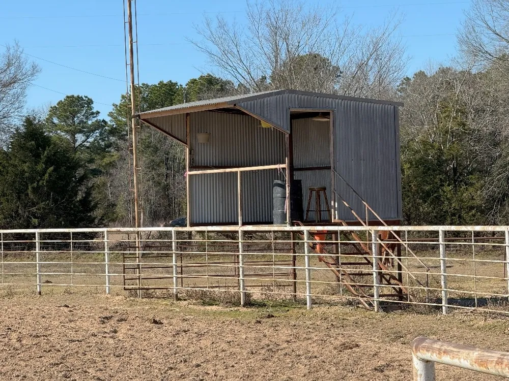 302 VZ County Road 4910 Ben Wheeler, TX 75754