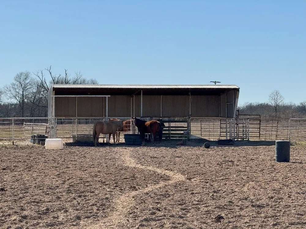 302 VZ County Road 4910 Ben Wheeler, TX 75754