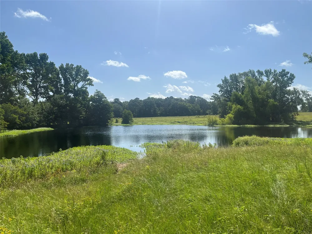 302 VZ County Road 4910 Ben Wheeler, TX 75754