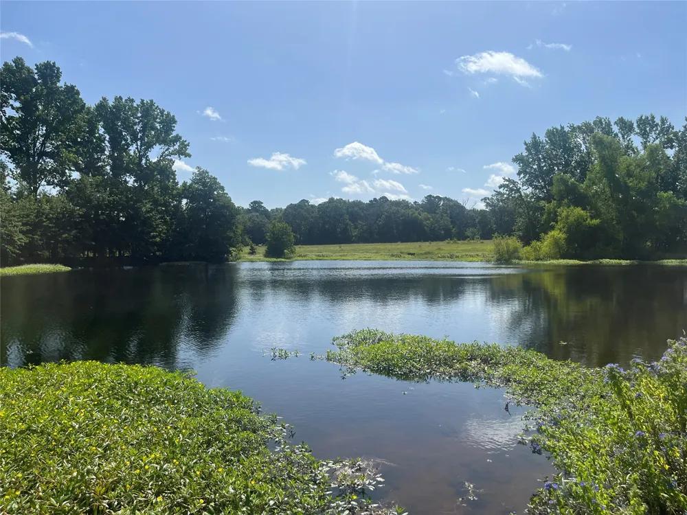 302 VZ County Road 4910 Ben Wheeler, TX 75754