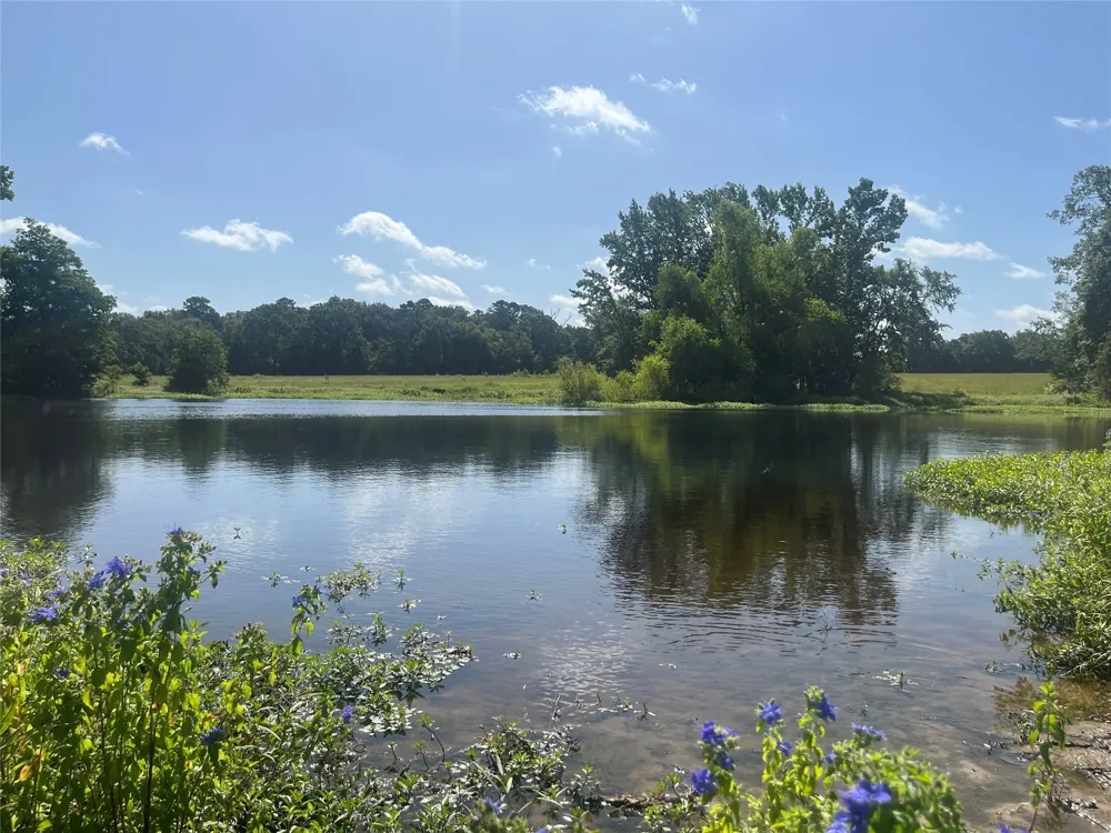 302 VZ County Road 4910 Ben Wheeler, TX 75754