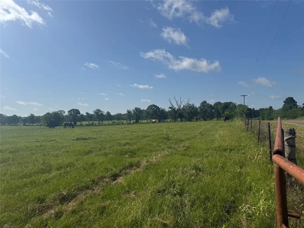 302 VZ County Road 4910 Ben Wheeler, TX 75754