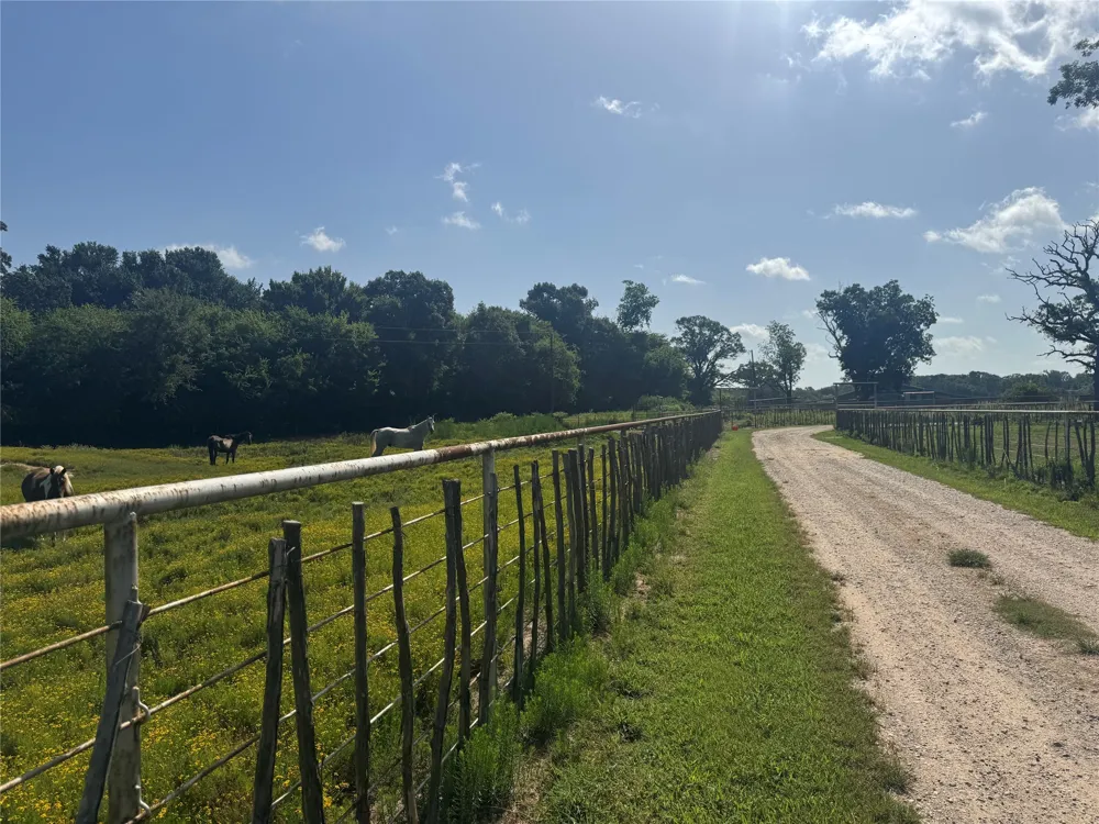302 VZ County Road 4910 Ben Wheeler, TX 75754