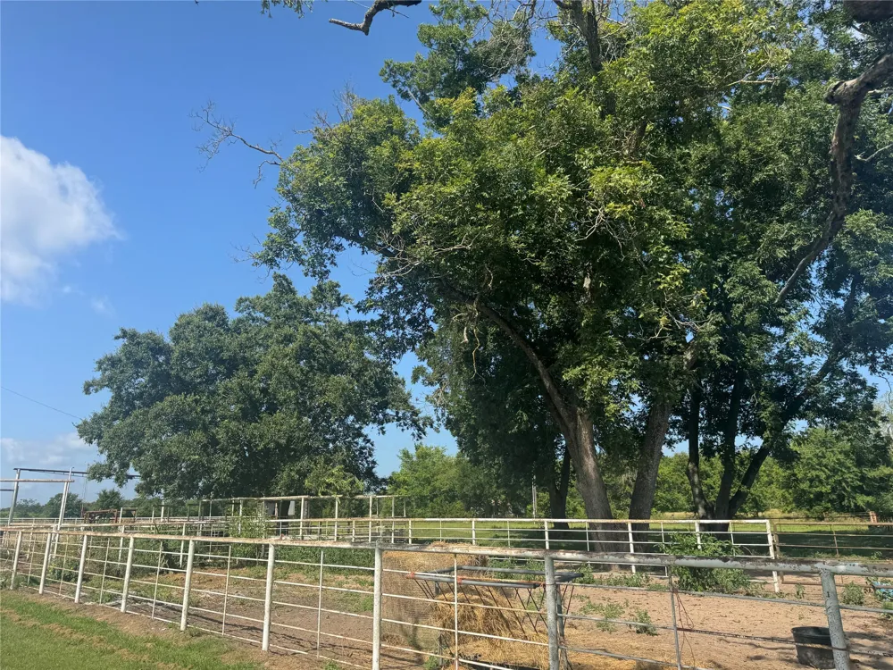 302 VZ County Road 4910 Ben Wheeler, TX 75754
