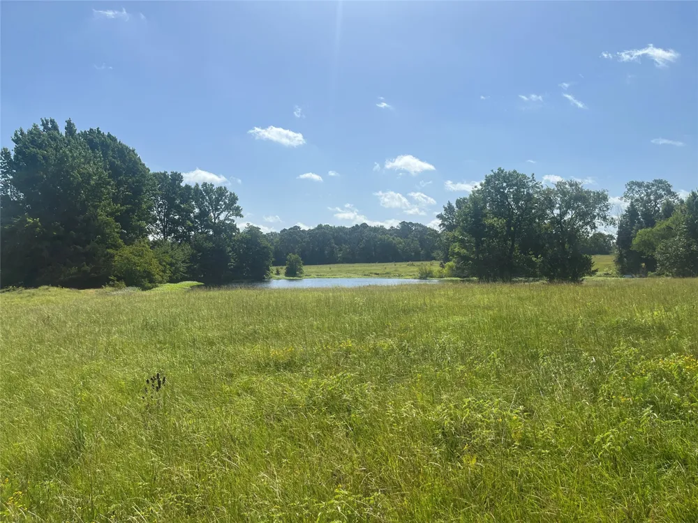 302 VZ County Road 4910 Ben Wheeler, TX 75754