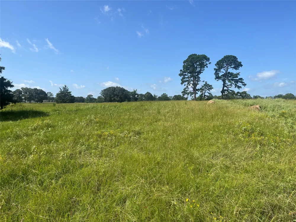 302 VZ County Road 4910 Ben Wheeler, TX 75754