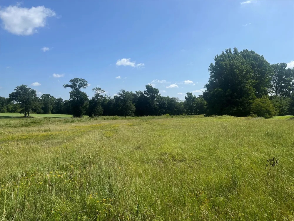 302 VZ County Road 4910 Ben Wheeler, TX 75754