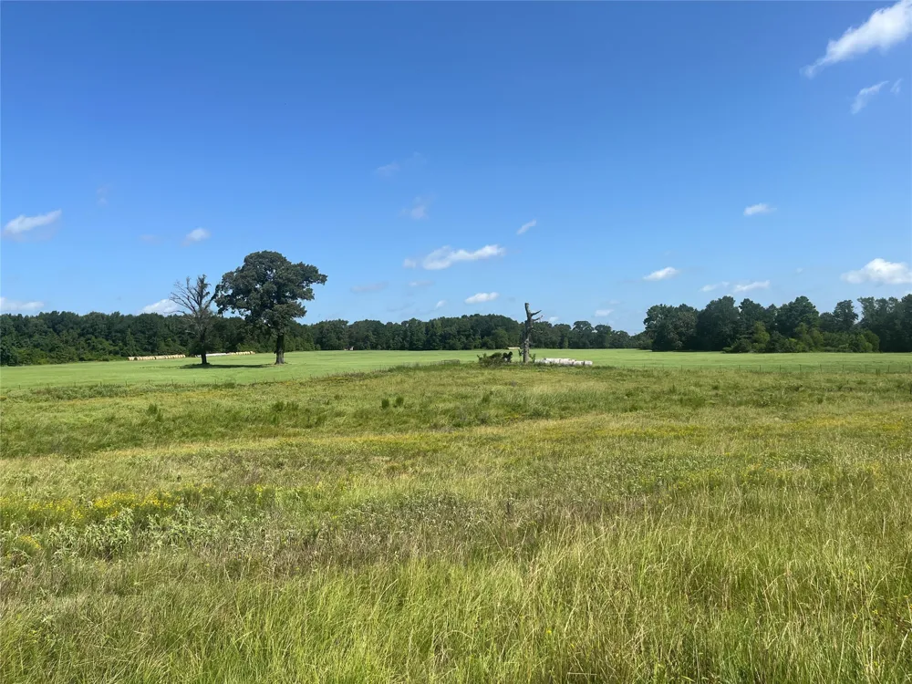 302 VZ County Road 4910 Ben Wheeler, TX 75754