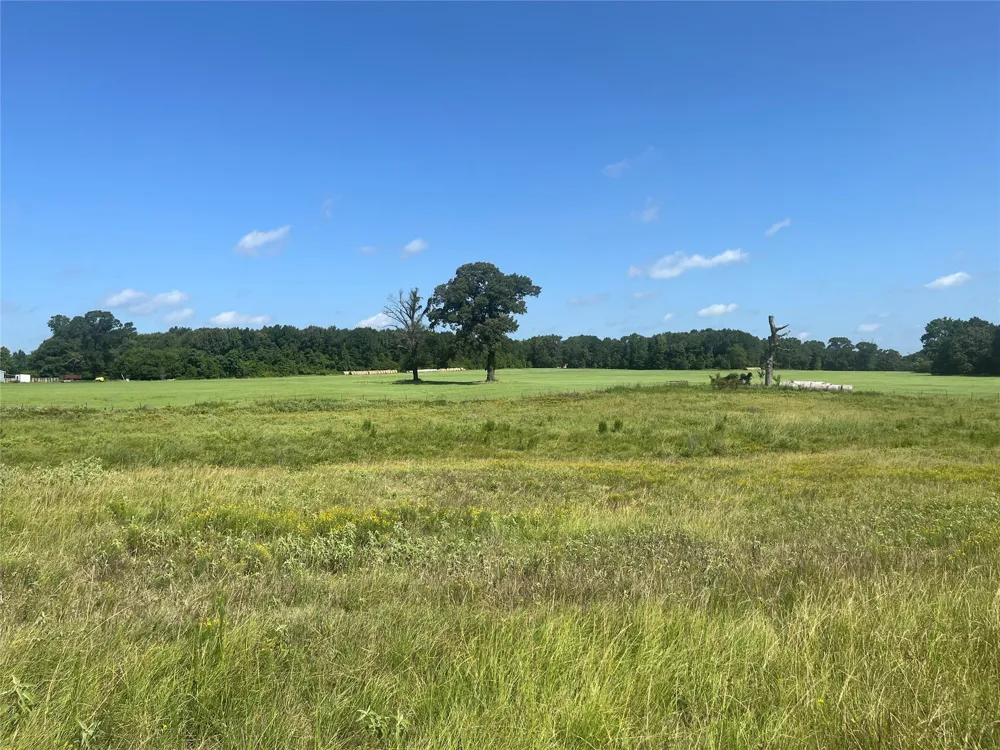 302 VZ County Road 4910 Ben Wheeler, TX 75754