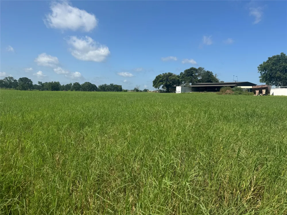 302 VZ County Road 4910 Ben Wheeler, TX 75754