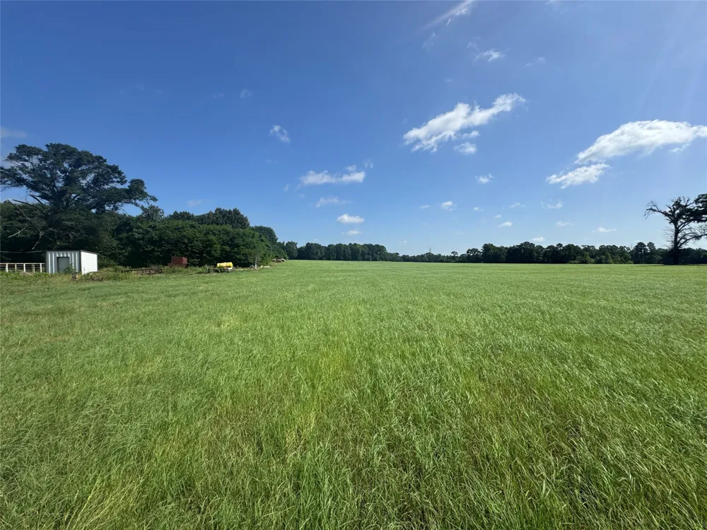 302 VZ County Road 4910 Ben Wheeler, TX 75754