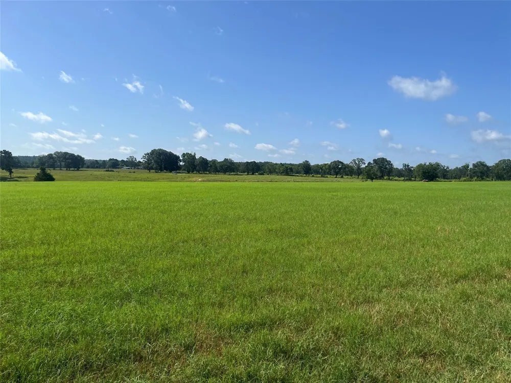 302 VZ County Road 4910 Ben Wheeler, TX 75754