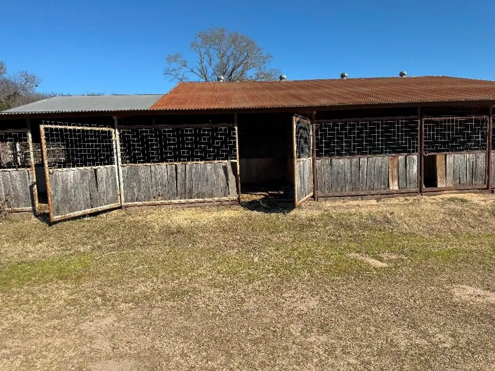 302 VZ County Road 4910 Ben Wheeler, TX 75754