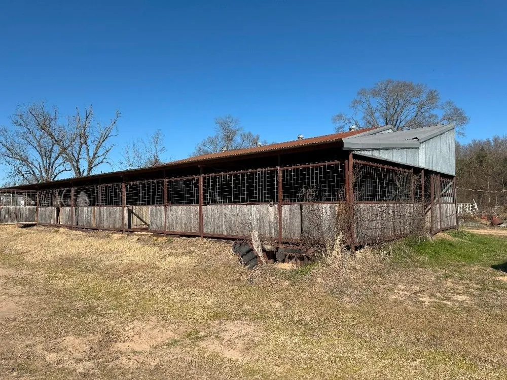302 VZ County Road 4910 Ben Wheeler, TX 75754
