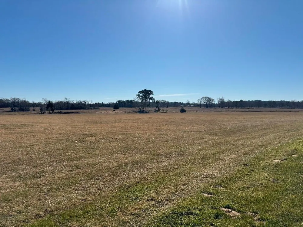302 VZ County Road 4910 Ben Wheeler, TX 75754