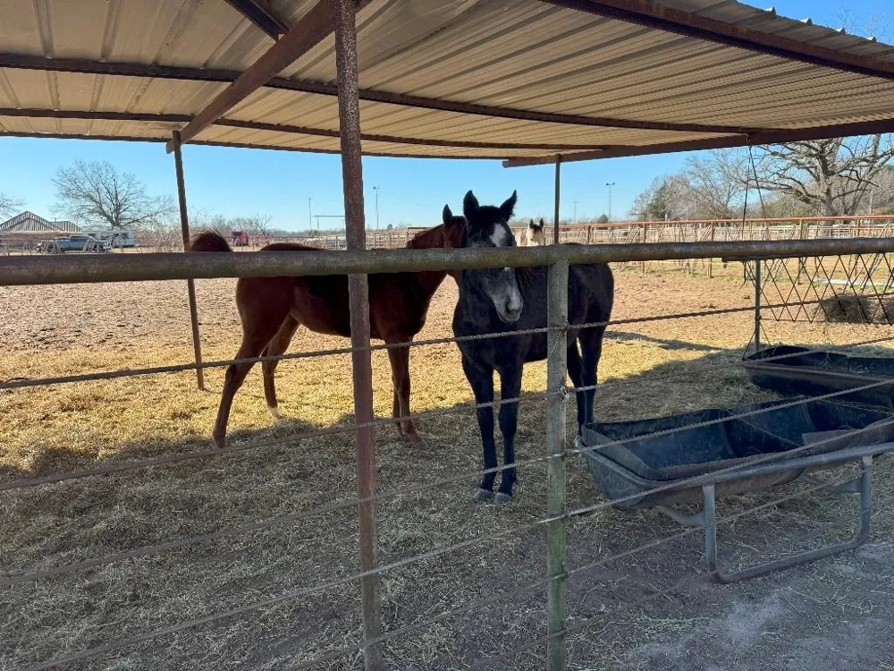 302 VZ County Road 4910 Ben Wheeler, TX 75754