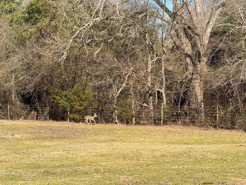 302 VZ County Road 4910 Ben Wheeler, TX 75754