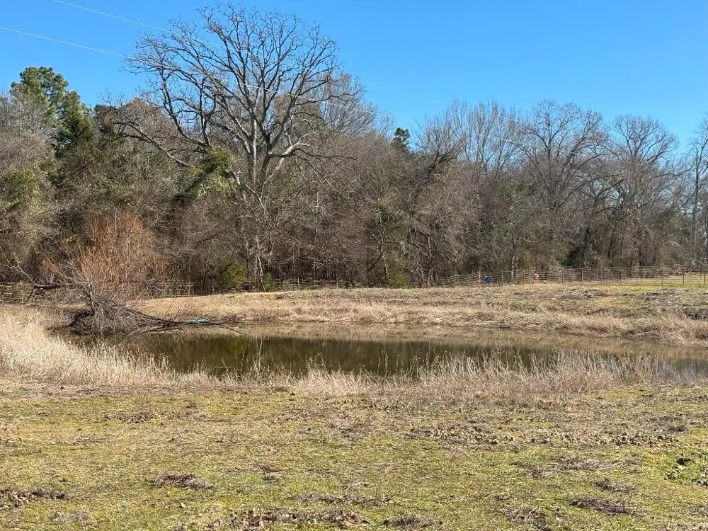 302 VZ County Road 4910 Ben Wheeler, TX 75754