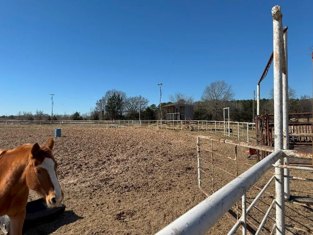 302 VZ County Road 4910 Ben Wheeler, TX 75754