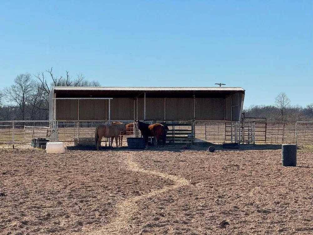 302 VZ County Road 4910 Ben Wheeler, TX 75754