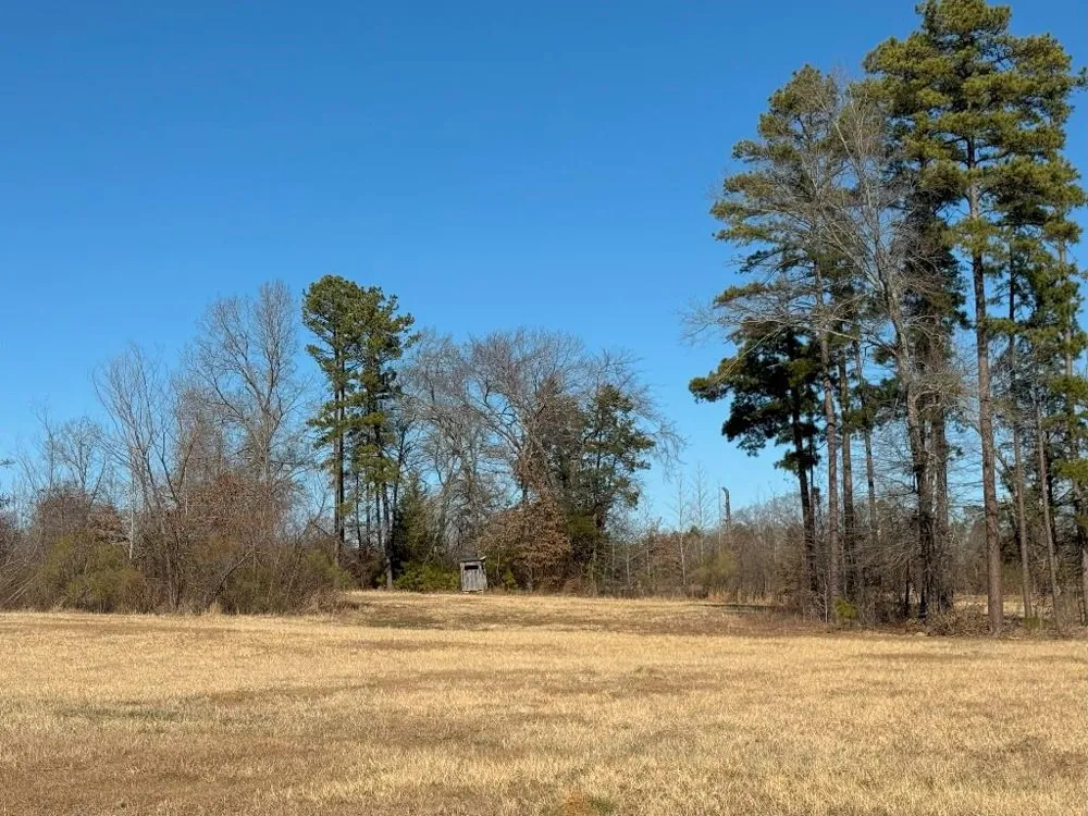 302 VZ County Road 4910 Ben Wheeler, TX 75754