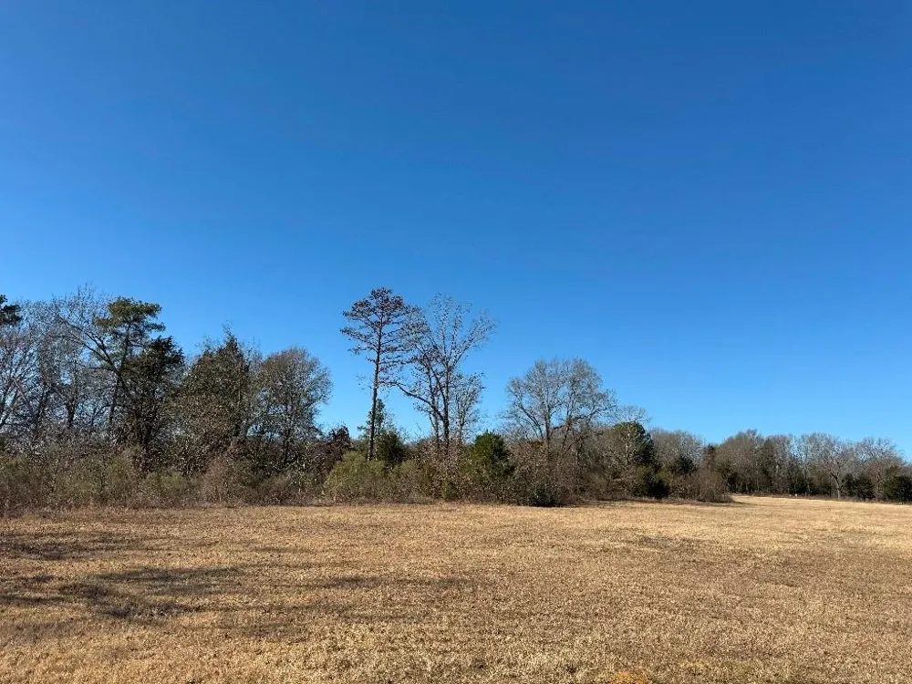302 VZ County Road 4910 Ben Wheeler, TX 75754