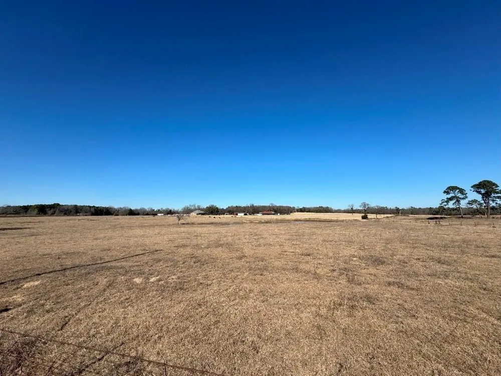 302 VZ County Road 4910 Ben Wheeler, TX 75754