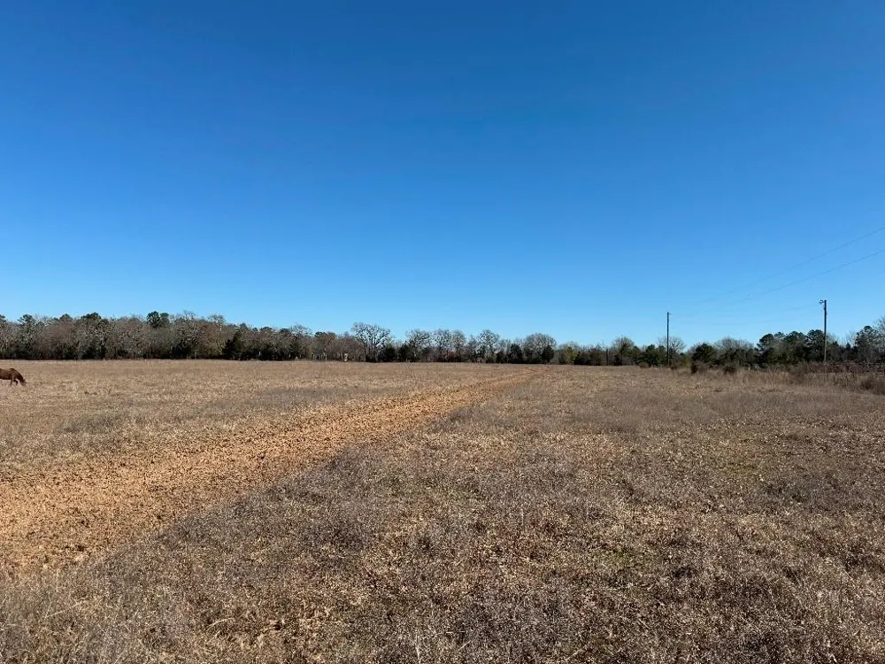 302 VZ County Road 4910 Ben Wheeler, TX 75754