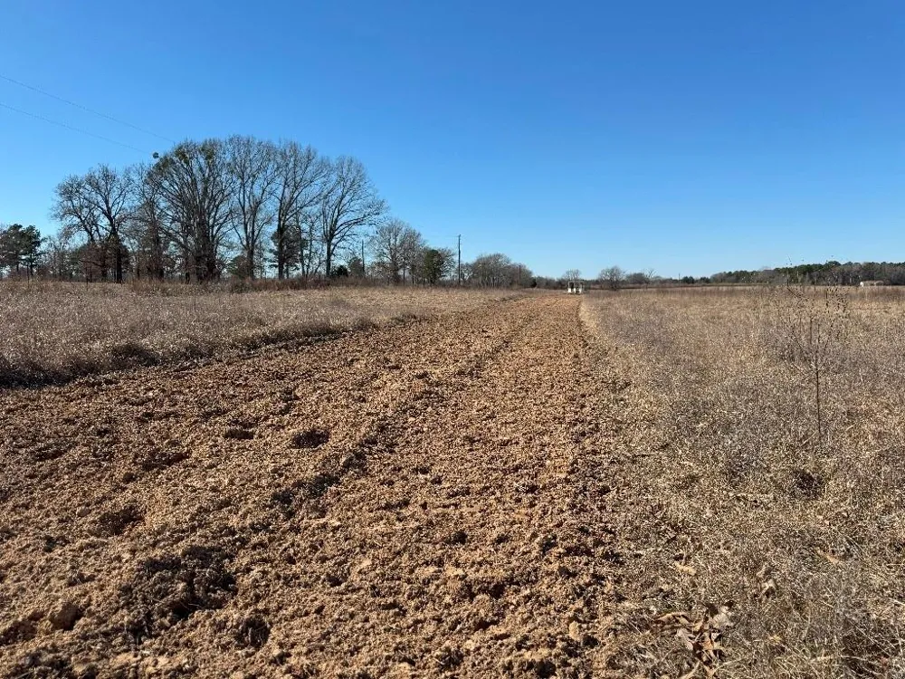 302 VZ County Road 4910 Ben Wheeler, TX 75754