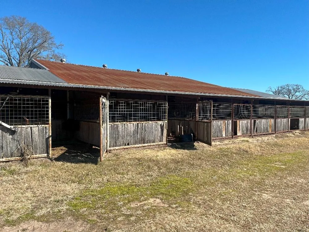 302 VZ County Road 4910 Ben Wheeler, TX 75754