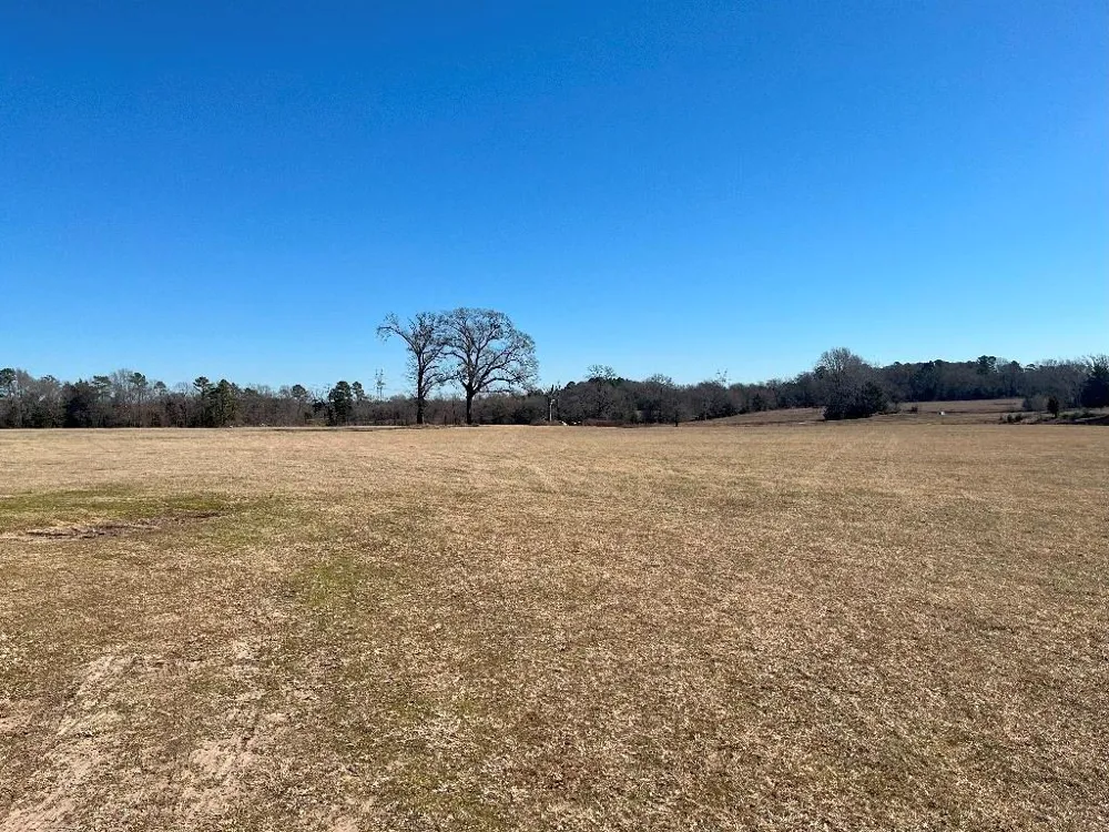 302 VZ County Road 4910 Ben Wheeler, TX 75754