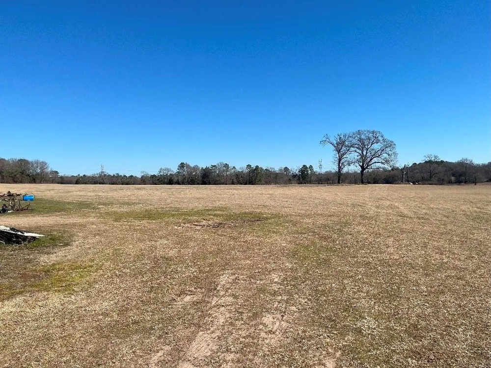 302 VZ County Road 4910 Ben Wheeler, TX 75754