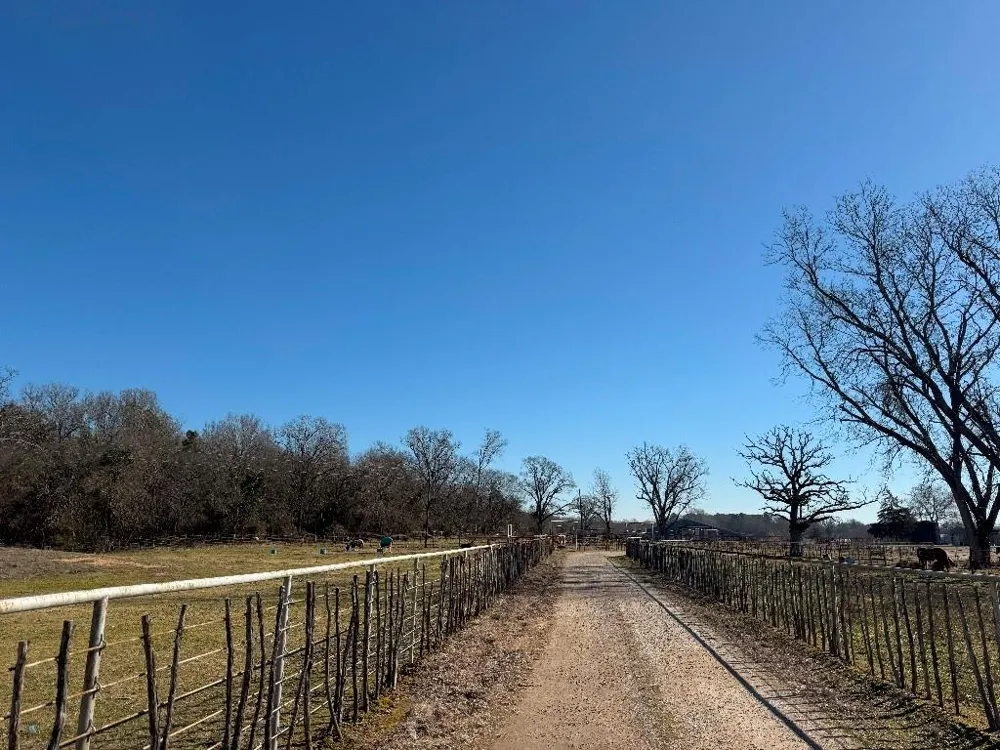 302 VZ County Road 4910 Ben Wheeler, TX 75754