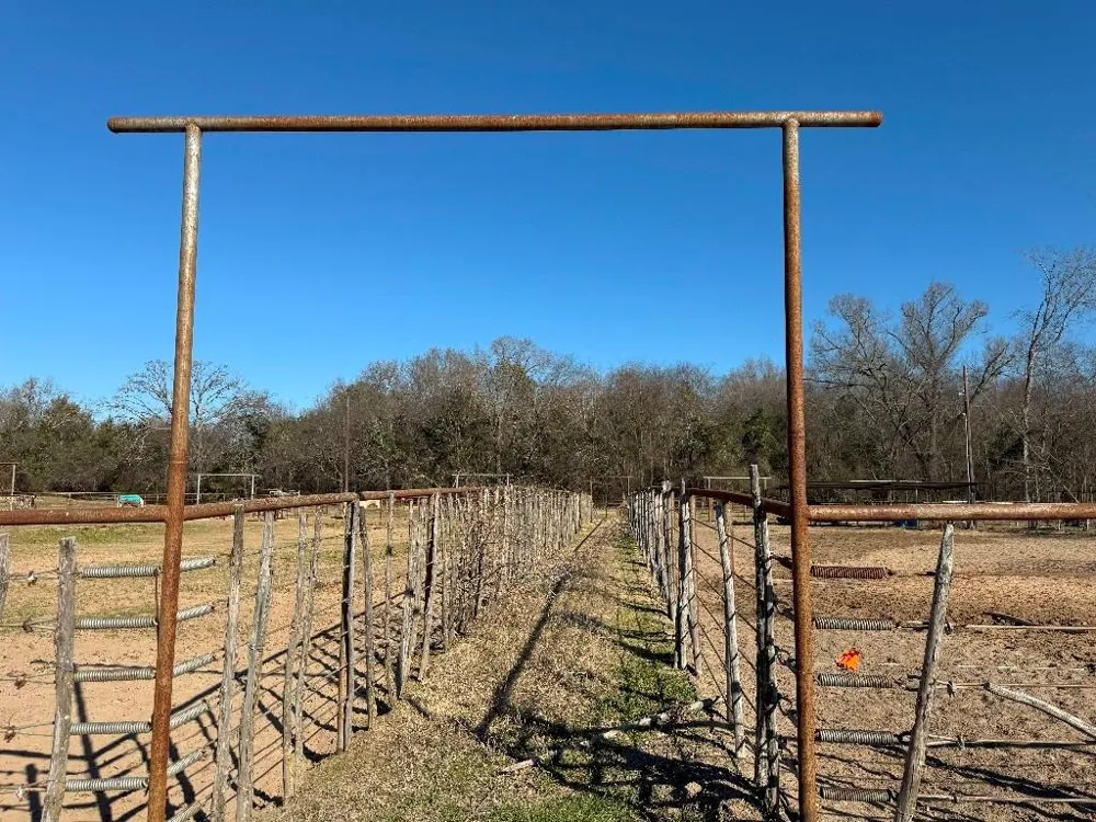 302 VZ County Road 4910 Ben Wheeler, TX 75754
